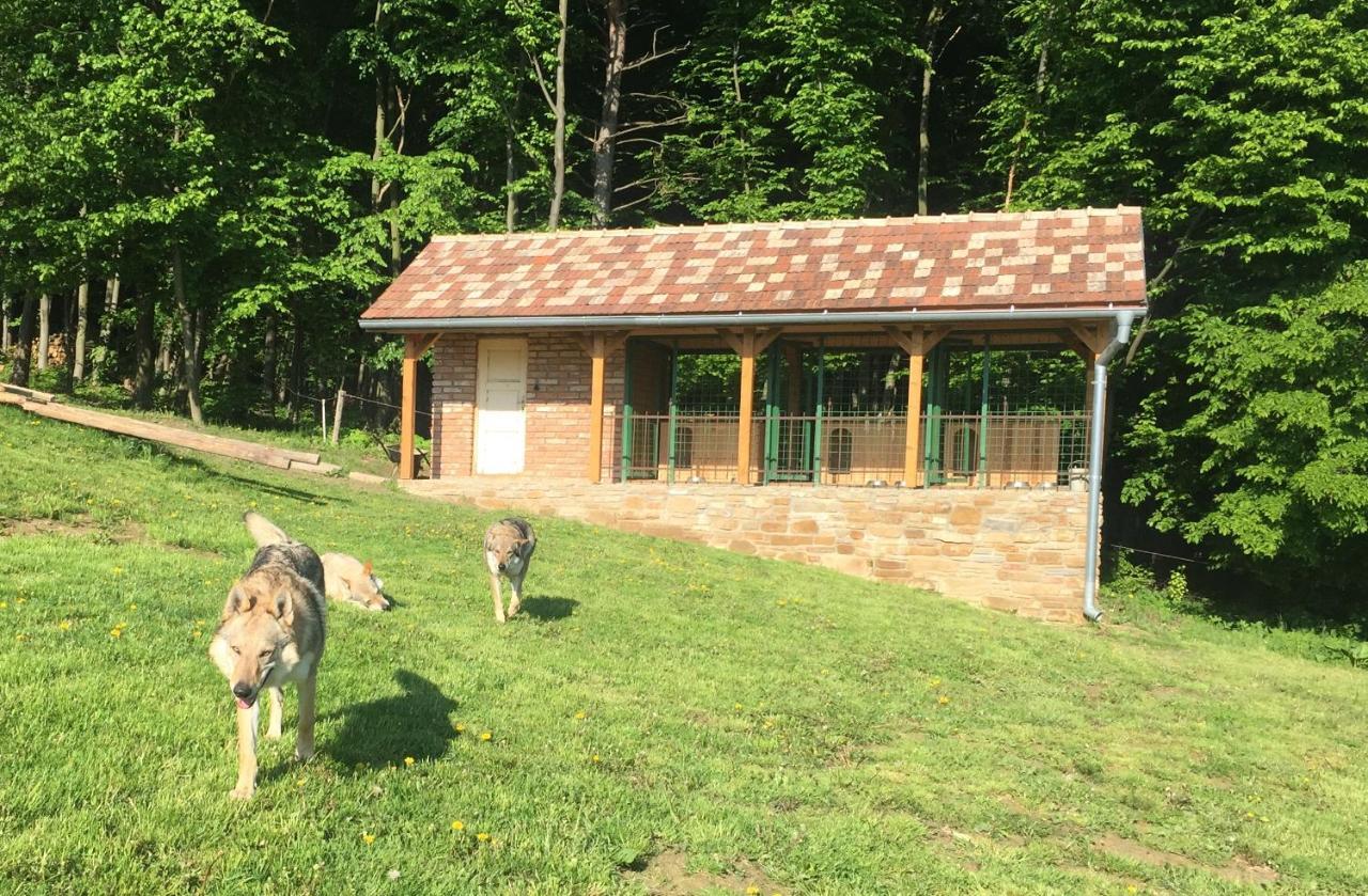 Villa Chata Koniaren à Pavlovce Extérieur photo